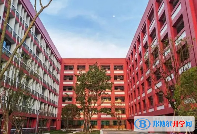 2024重庆市巴蜀科学城中学校招生计划 招生人数是多少(附要求、条件、对象)