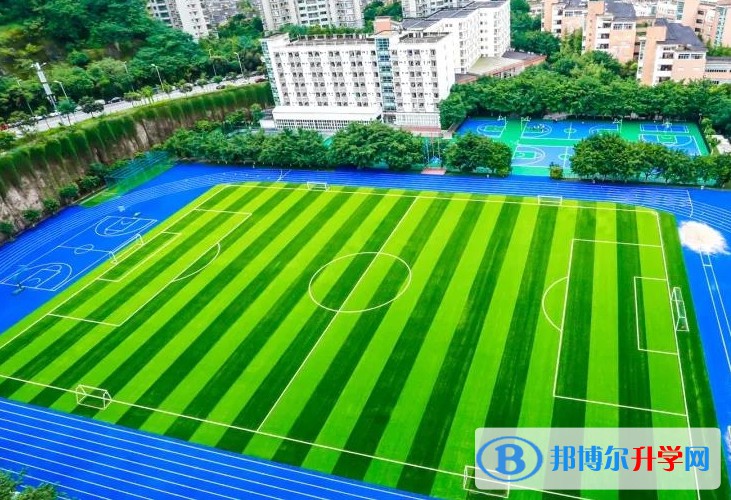 2024重庆市南开融侨中学校招生计划 招生人数是多少(附要求、条件、对象)