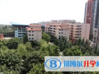 铜梁二中招生简章2025年