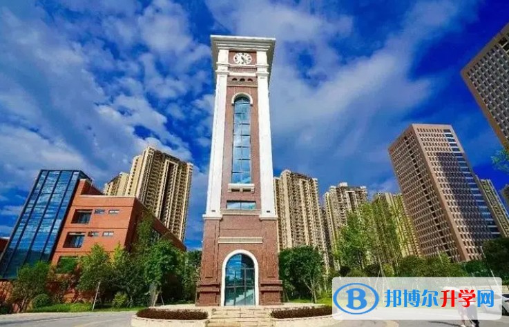 重庆巴蜀常春藤学校招生简章2024年