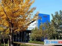 2025石家庄市第三中学招生计划 招生人数是多少(附要求、条件、对象)