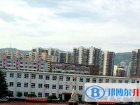 2025新乐新伏羲中学多少钱(学费明细)