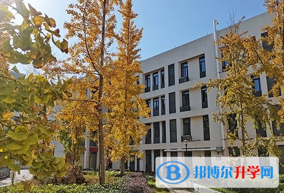 养马中学怎么样、好不好