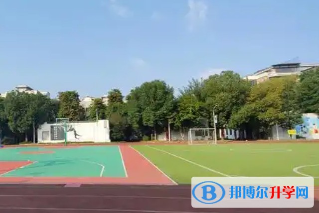丹秋美亚学校怎么样、好不好