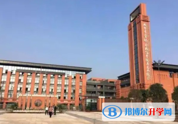 实外五龙山校区招生简章2025年