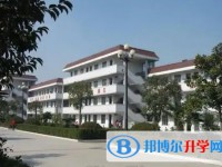 2025青白江区为明学校招生计划 招生人数是多少(附要求、条件、对象)