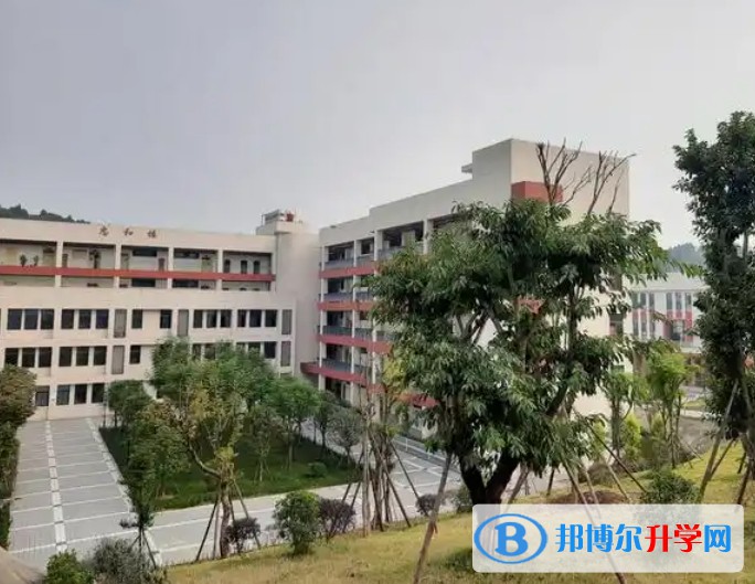 石桥中学招生简章2025年