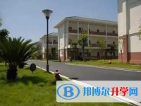 青城山高中招生简章2025年