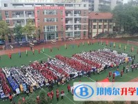 2025自贡六中招生计划 招生人数是多少(附要求、条件、对象)
