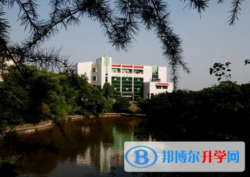 富顺第二中学校地址，乘车路线