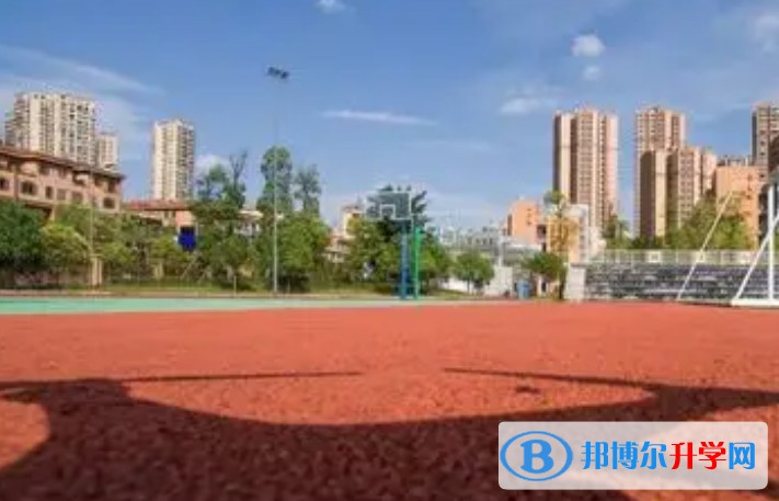自贡汇东实验学校招生简章2025年