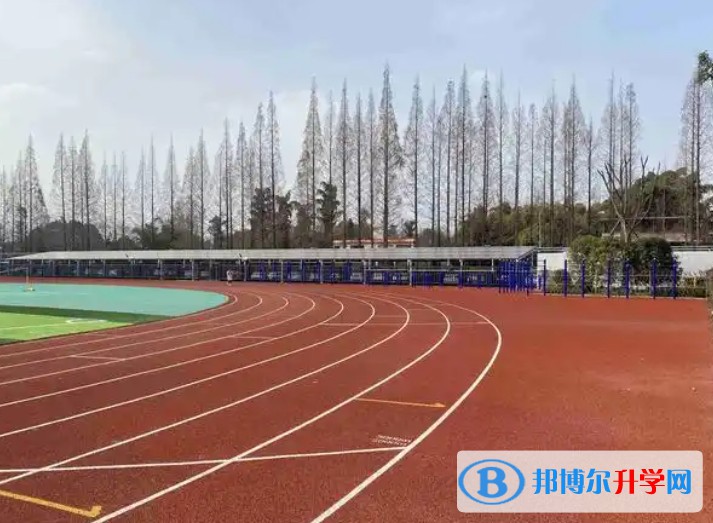 2025自贡德铭中学招生计划 招生人数是多少(附要求、条件、对象)