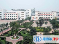 2025四川省富顺县赵化中学校招生计划 招生人数是多少(附要求、条件、对象)