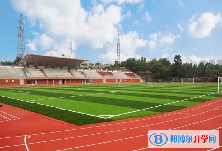 四川省绵阳市丰谷中学招生简章2025年