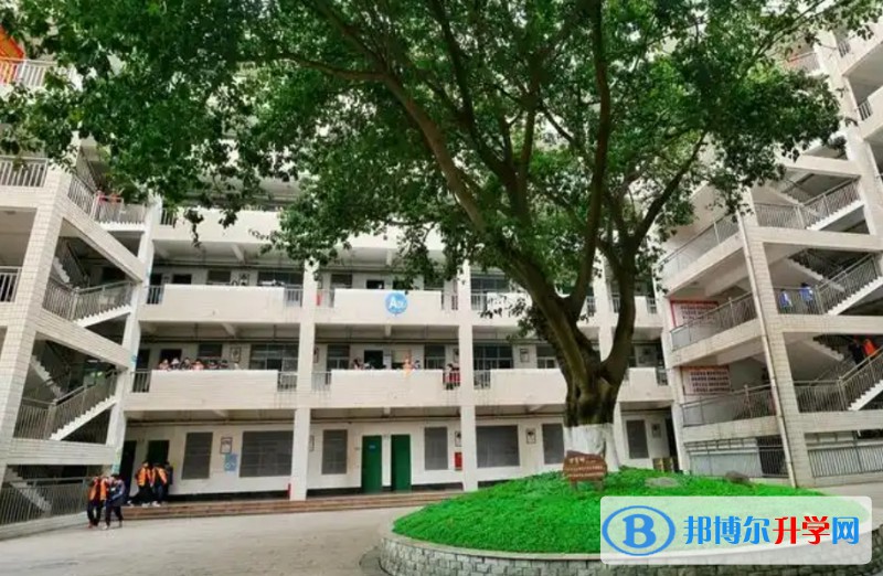 绵阳普明中学招生简章2025年