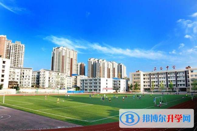 四川省三台中学校招生简章2025年