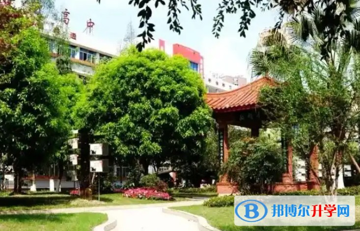 2025四川省三台中学校招生计划 招生人数是多少(附要求、条件、对象)