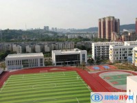 2025绵阳实验高级中学招生计划 招生人数是多少(附要求、条件、对象)