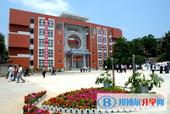 2025四川省三台第一中学招生计划 招生人数是多少(附要求、条件、对象)