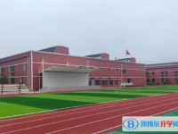 2025盐亭文同中学招生计划 招生人数是多少(附要求、条件、对象)