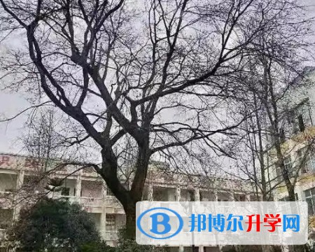江油彰明中学怎么样、好不好