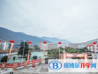 太白中学招生简章2025年