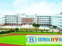 2025太白中学招生计划 招生人数是多少(附要求、条件、对象)