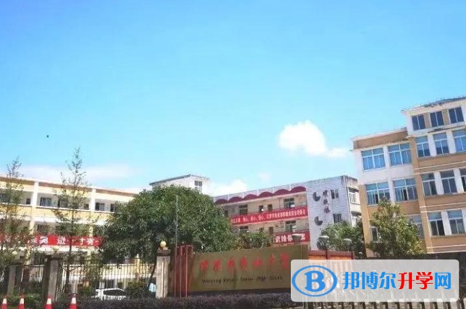 秀水中学招生简章2025年