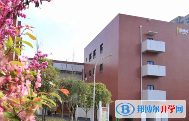 2025绵阳市丰谷中学招生计划 招生人数是多少(附要求、条件、对象)