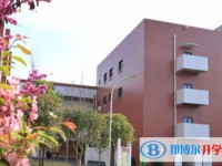 2025绵阳市丰谷中学招生计划 招生人数是多少(附要求、条件、对象)