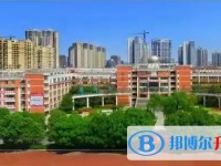 2025安州中学招生计划 招生人数是多少(附要求、条件、对象)