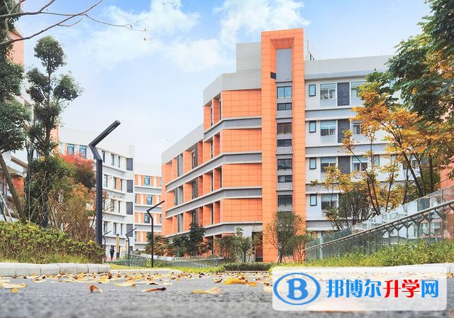 2025绵阳市育英高级中学招生计划 招生人数是多少(附要求、条件、对象)