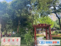 2025开元中学招生计划 招生人数是多少(附要求、条件、对象)
