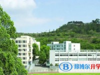 2025广元市田家炳实验中学招生计划 招生人数是多少(附要求、条件、对象)