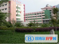 2025四川省旺苍中学招生计划 招生人数是多少(附要求、条件、对象)
