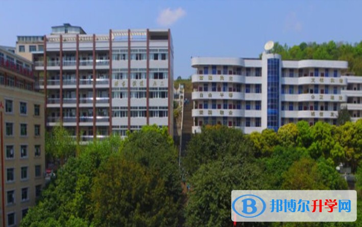 2025苍溪实验中学多少钱(学费明细)