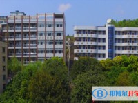 2025苍溪实验中学多少钱(学费明细)
