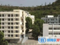 2025广元市中学招生计划 招生人数是多少(附要求、条件、对象)