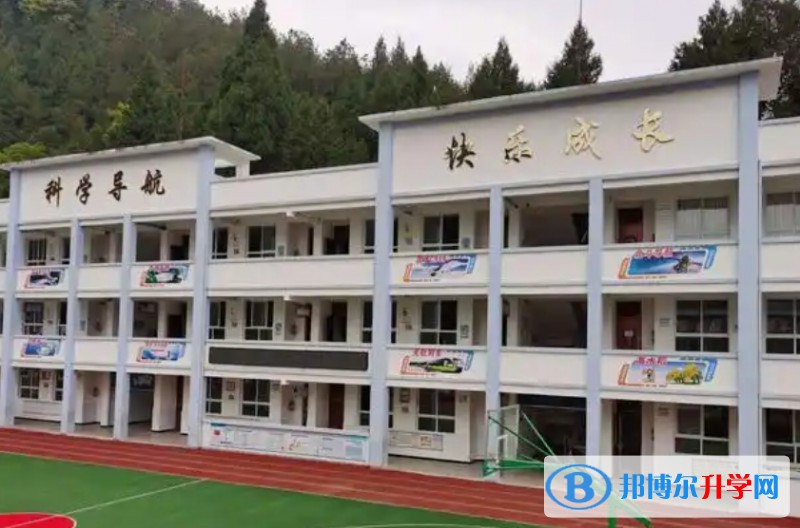2025苍溪县歧坪中学招生计划 招生人数是多少(附要求、条件、对象)
