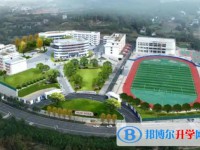 苍溪县歧坪中学地址，乘车路线