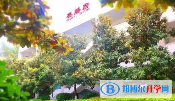 广元外国语学校招生简章2025年