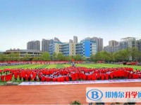 2025广元外国语学校招生计划 招生人数是多少(附要求、条件、对象)