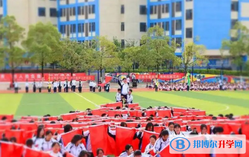 广元外国语学校地址，乘车路线