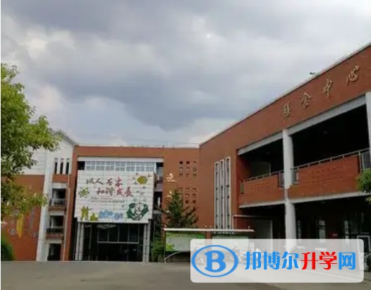 2025广元市树人中学招生计划 招生人数是多少(附要求、条件、对象)