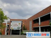 2025广元市树人中学招生计划 招生人数是多少(附要求、条件、对象)