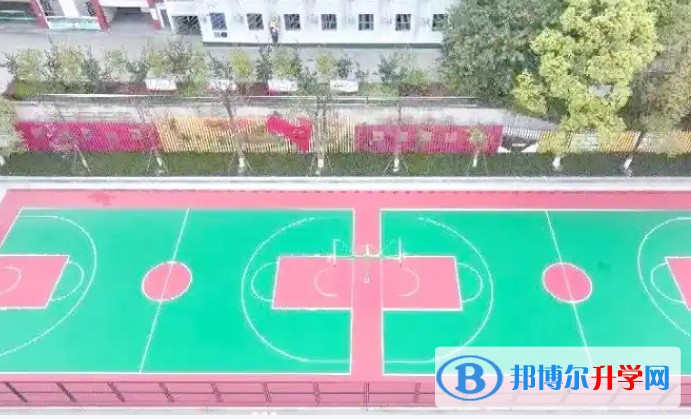 2025苍溪县城郊中学招生计划 招生人数是多少(附要求、条件、对象)