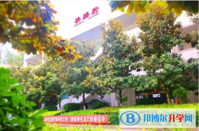 2025四川省广元外国语学校招生计划 招生人数是多少(附要求、条件、对象)