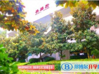 2025四川省广元外国语学校招生计划 招生人数是多少(附要求、条件、对象)