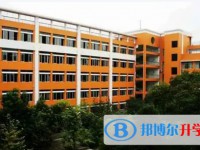 2025广元中学招生计划 招生人数是多少(附要求、条件、对象)